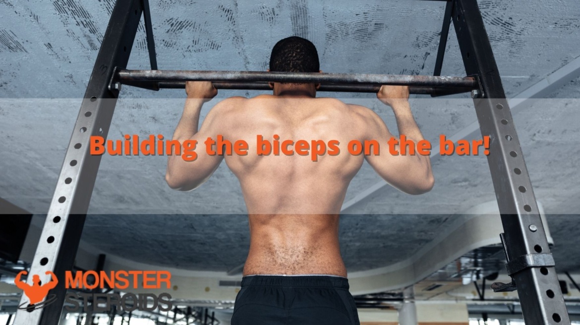 Building-the-biceps-on-the-bar.jpg